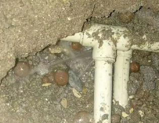 石楼卫生间测漏